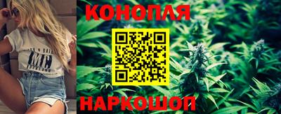 стафф Бийск