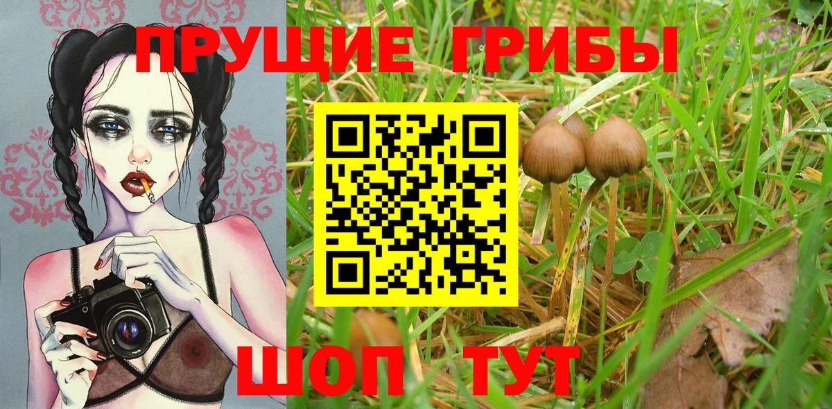 Галлюциногенные грибы прущие грибы Асино