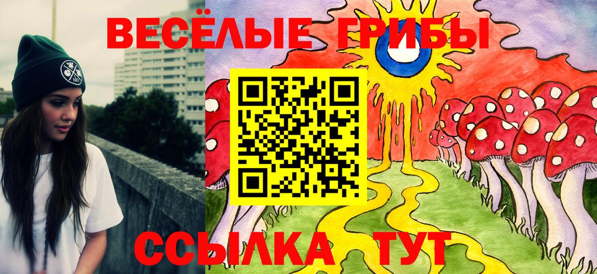 Лсд 25 Асино